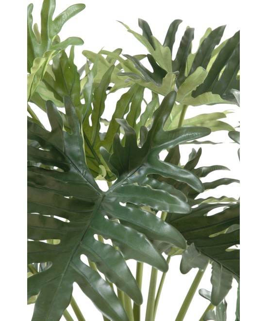 Kunstfilodendron Selloum, 15 lehte