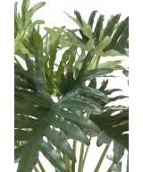 Kunstfilodendron Selloum, 15 lehte