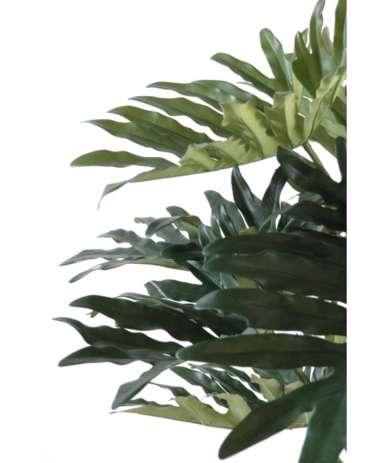 Kunstfilodendron Selloum, 15 lehte