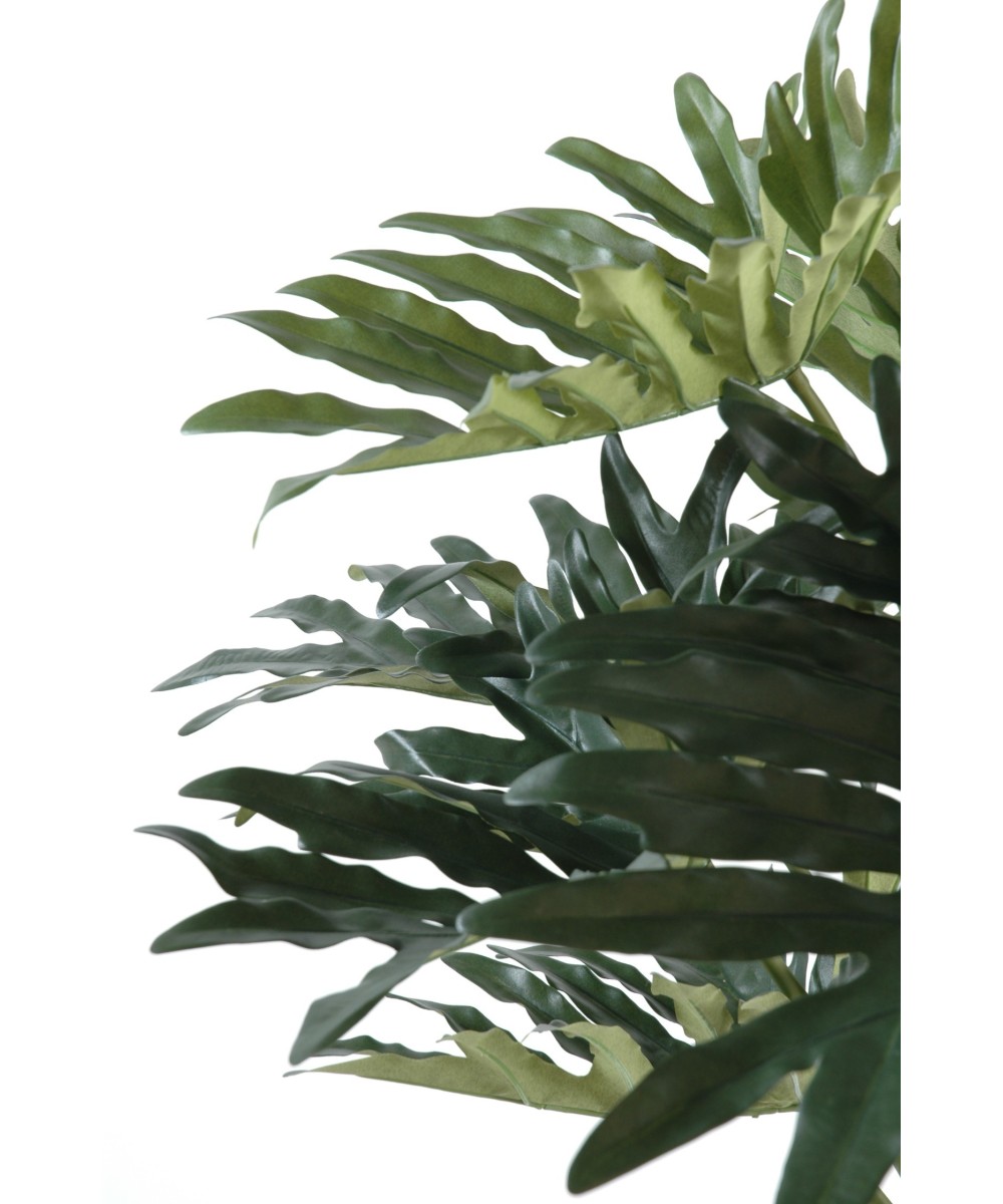 Kunstfilodendron Selloum, 15 lehte