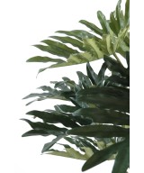Artificial Philodendron SELLOUM *15