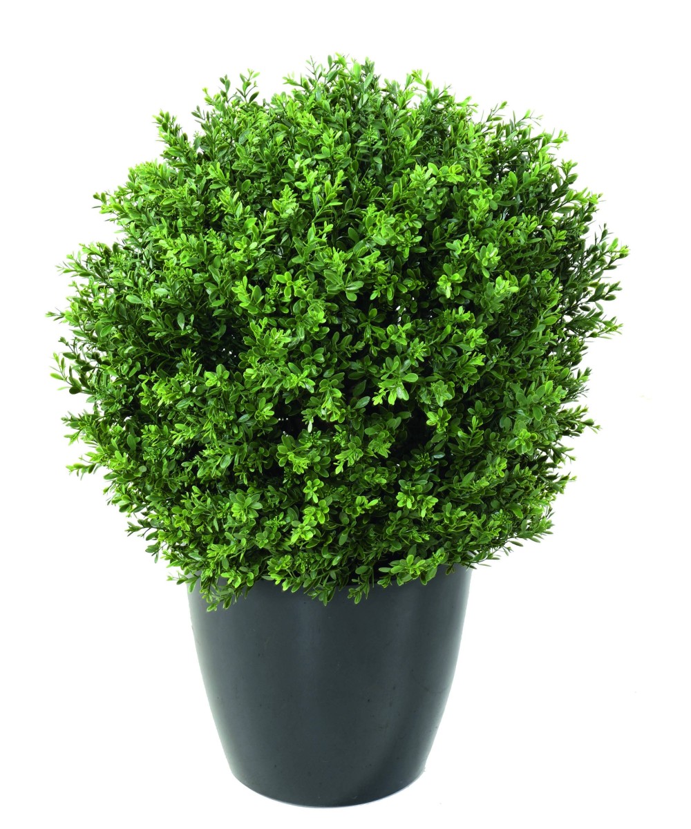 Artificial BOXWOOD BALL "RED DAY" UV