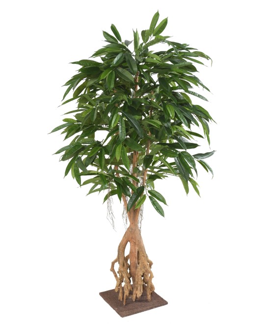 Kunstlik viigipuu juurega pikaleheline (LONGIFOLIA)