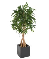 Artificial FICUS ROOT LONGIFOLIA
