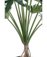 Kunstfilodendron Selloum, 15 lehte