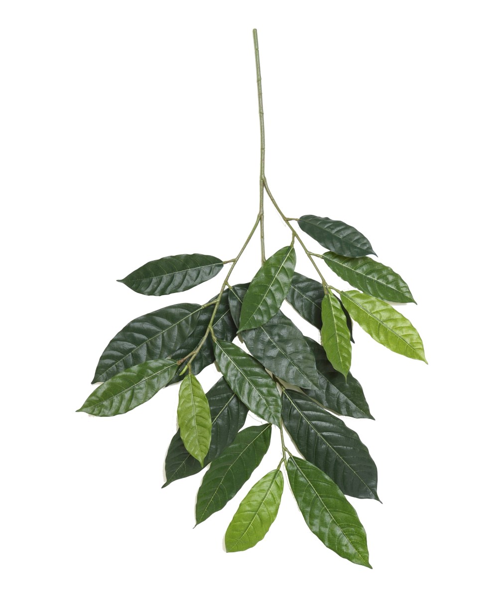 Artificial CACAO SPRAY