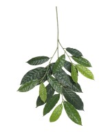 Artificial CACAO SPRAY