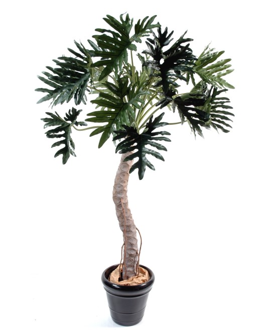 Artificial Philodendron SELLOUM TREE