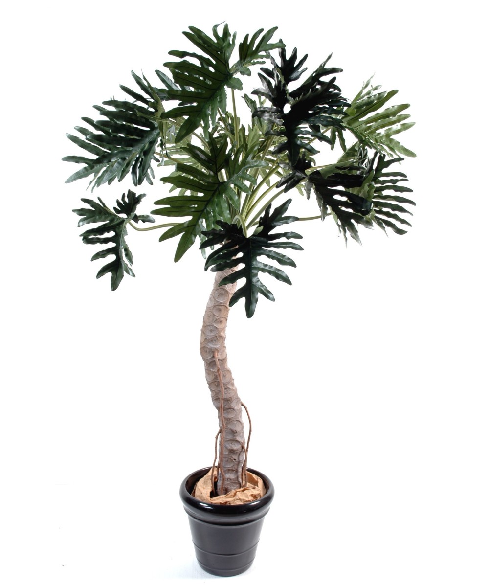Kunstfilodendron Selloum puu