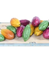 Artificial CACAO FRUIT S