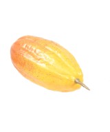 Kunstlik kakaovili L