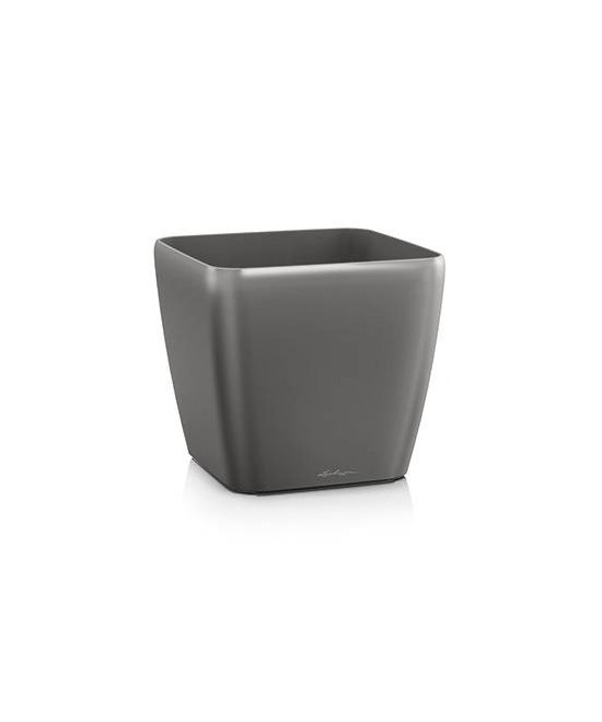Quadro Premium - antratsiitmetallik