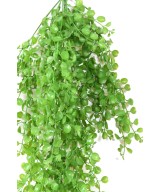 Kunstlik mini-ripppõõsas DICHONDRA