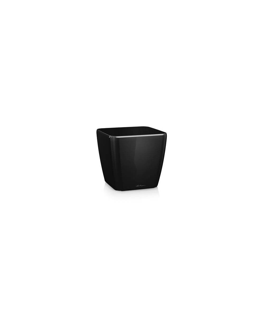 Quadro Premium - High Gloss Black