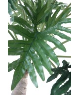 Artificial Philodendron SELLOUM TREE
