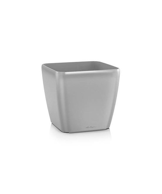 Quadro Premium - Silver metallic