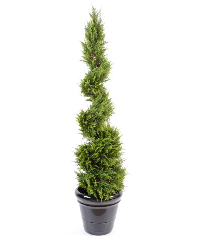 Artificial Cypress Juniperus (juniperus vj) JUNIPERUS FINE SPIRAL