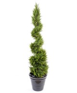 Kunstküpress Juniperus, peen spiraal