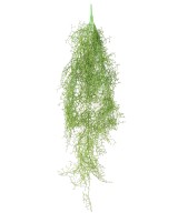 Kunstlik TILLANDSIA RIPPUPÕÕSAS