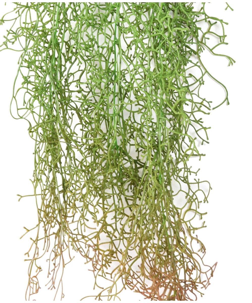 Kunstlik TILLANDSIA RIPPUVÕÕSAS