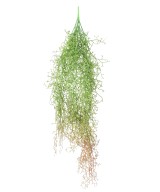 Kunstlik TILLANDSIA RIPPUVÕÕSAS