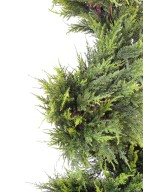 Artificial Cypress Juniperus (juniperus vj) JUNIPERUS FINE SPIRAL