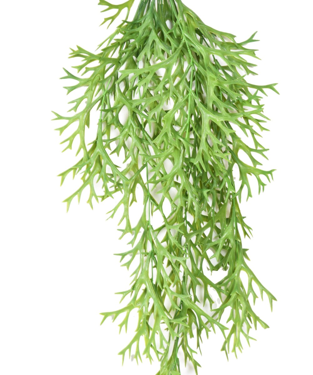 Kunstlik mini-ripppõõsas PLATYCERIUM