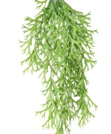 Kunstlik mini-ripppõõsas PLATYCERIUM