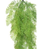 Artificial ASPARAGUS ROUND HANGING BUSH