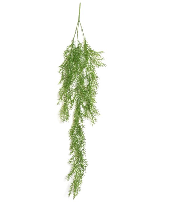 Kunstlik mini-ripppõõsas "Rhipsalis"