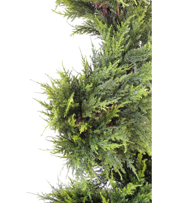 Artificial Cypress Juniperus (juniperus vj) JUNIPERUS FINE SPIRAL