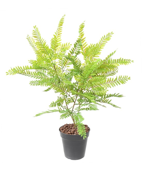 Artificial CASSIA BUSH L