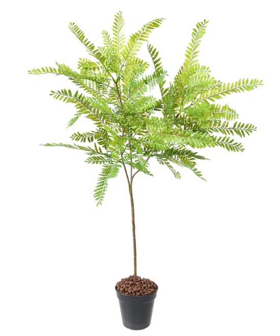 Artificial CASSIA BUSH L