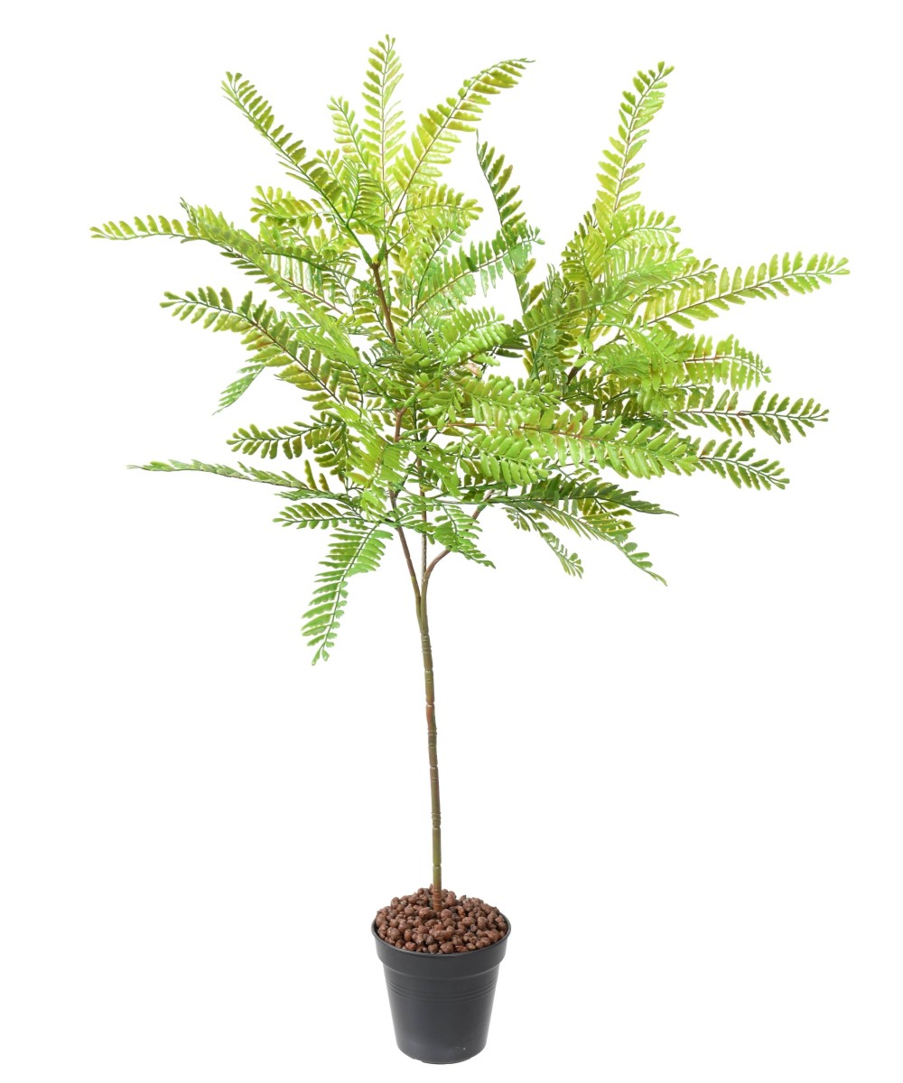 Artificial CASSIA BUSH L