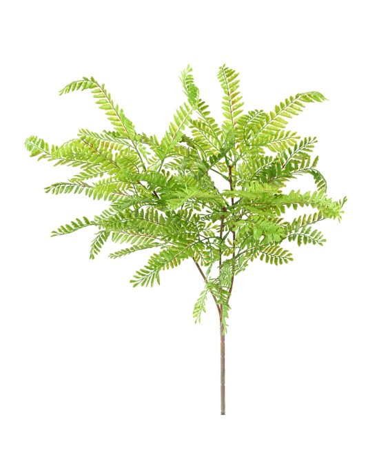 Artificial CASSIA BUSH L