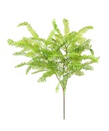 Artificial CASSIA BUSH L
