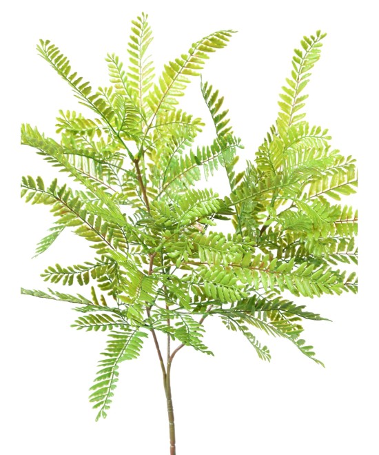 Artificial CASSIA BUSH L