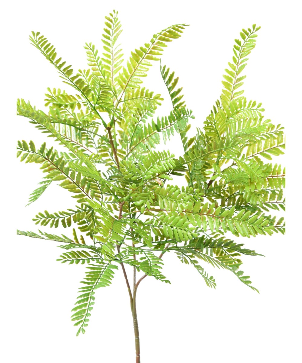 Artificial CASSIA BUSH L