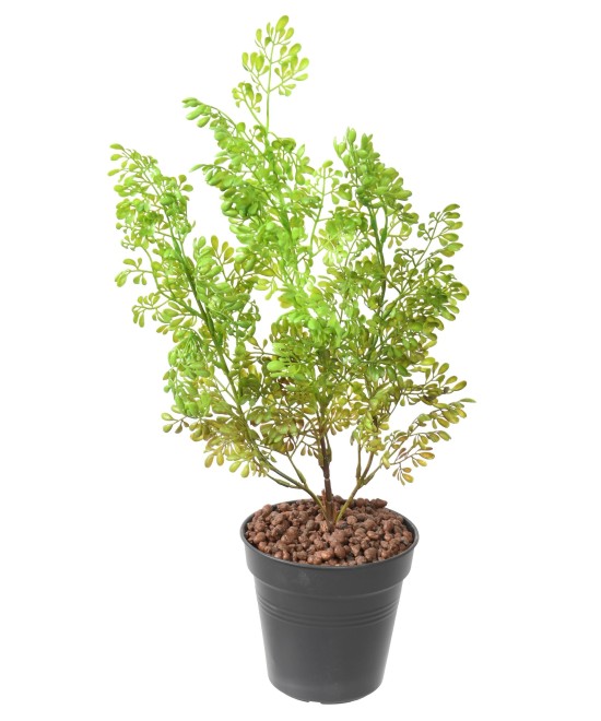 Artificial BUXUS BUSH