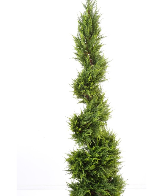 Artificial Cypress Juniperus (juniperus vj) JUNIPERUS FINE SPIRAL
