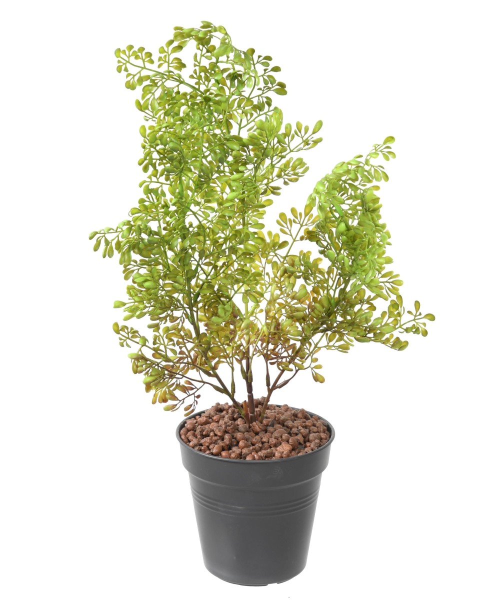 Artificial BUXUS BUSH