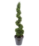 Artificial boxwood NEW FINE SPIRAL
