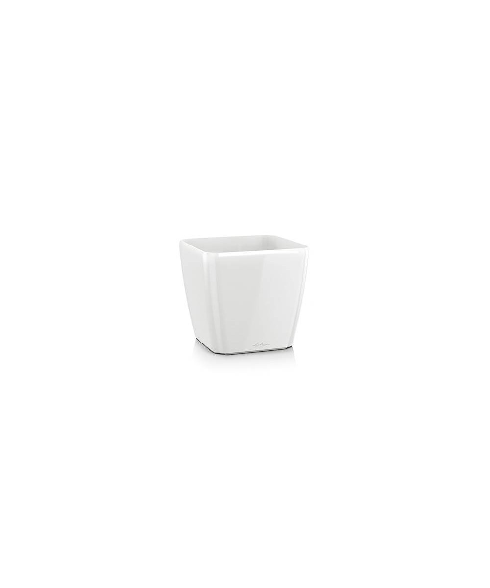Quadro Premium - High Gloss White