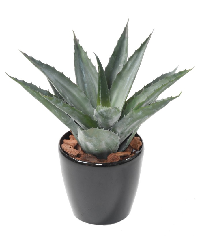 Artificial Agave in Round Pot