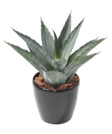 Artificial Agave in Round Pot