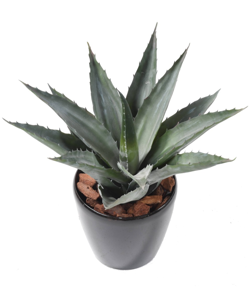 Artificial Agave in Round Pot