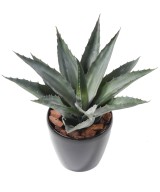 Artificial Agave in Round Pot