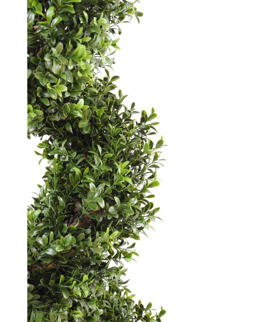 Artificial boxwood NEW FINE SPIRAL