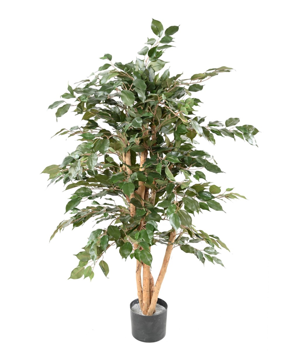 Artificial FICUS BENJAMINA ECO