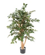 Artificial FICUS BENJAMINA ECO